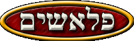 פלאשים